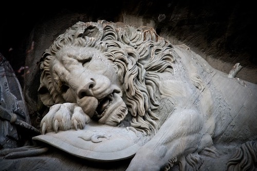 sadness-of-lions-631975_640