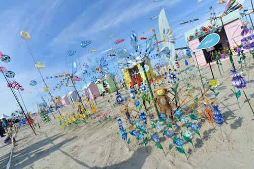 Cerfs-Volants-Berck-2018-2-©Yannick-Cadart