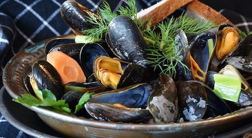 mussels-3148452_640