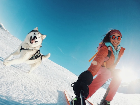 Faire du ski avec son chien - EmmèneTonChien.com_