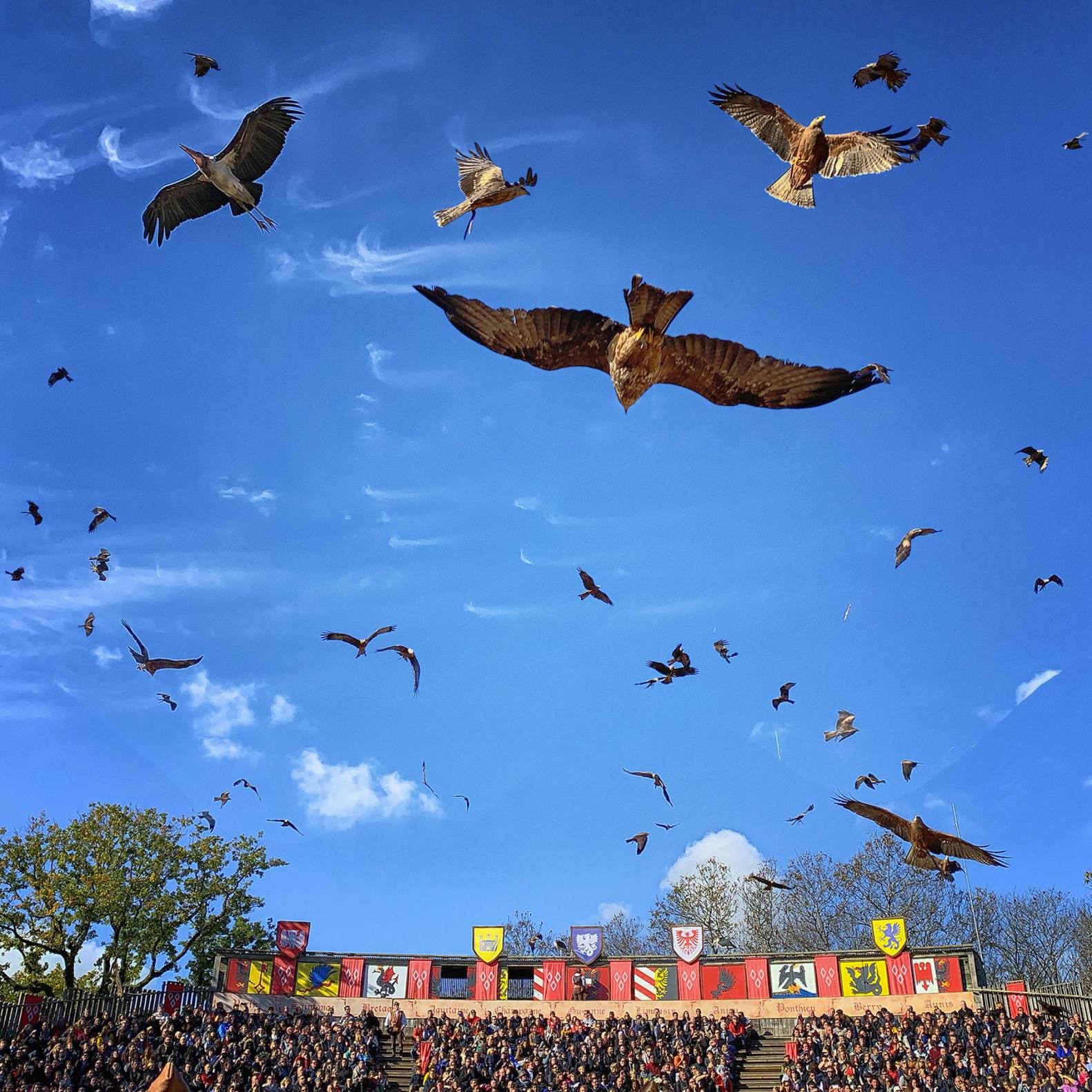 Le Bal Des Oiseaux Fantôme