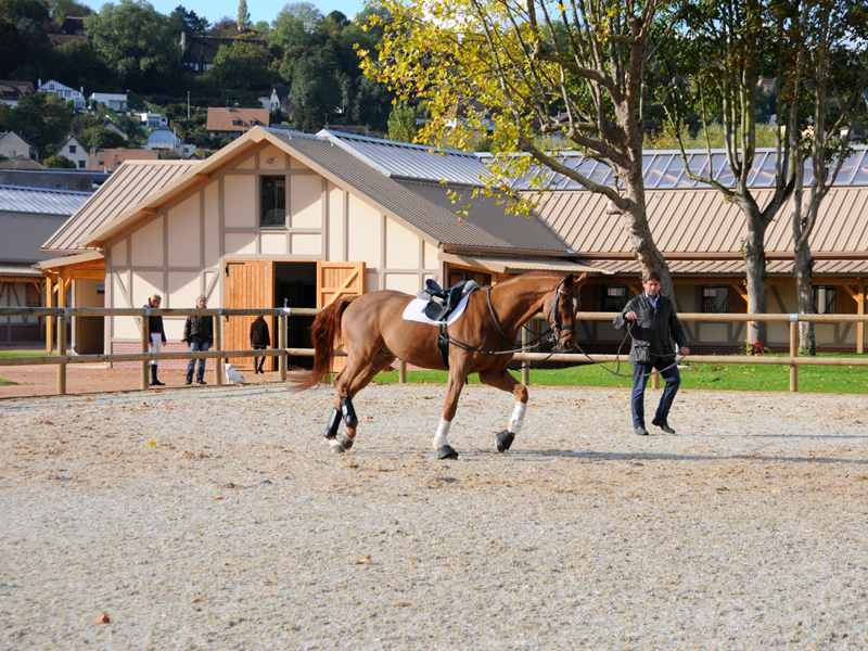 Deauville 多维尔骑马