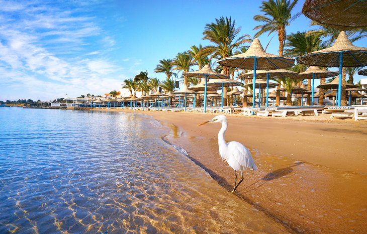 egypt-red-sea-region-top-attractions-sunbathe-swim-resort-beaches
