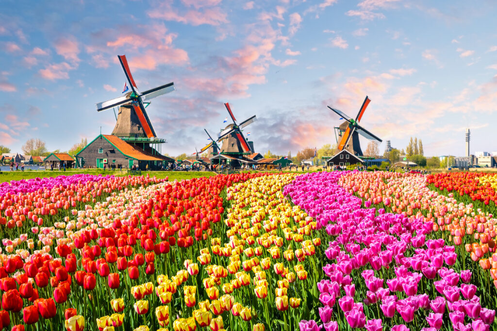 AdobeStock_137139944-1024x681