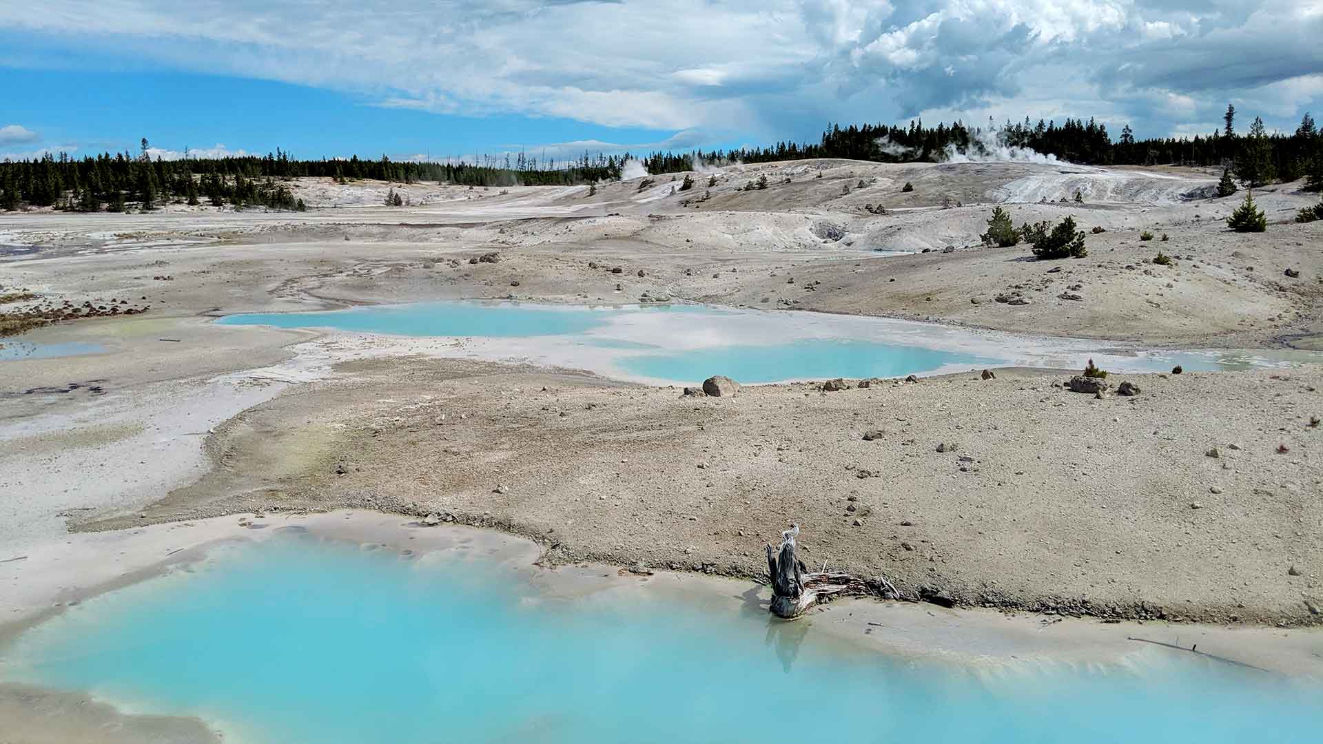 norris_geyser_basin_yellowstone_BBB_03_porcelain