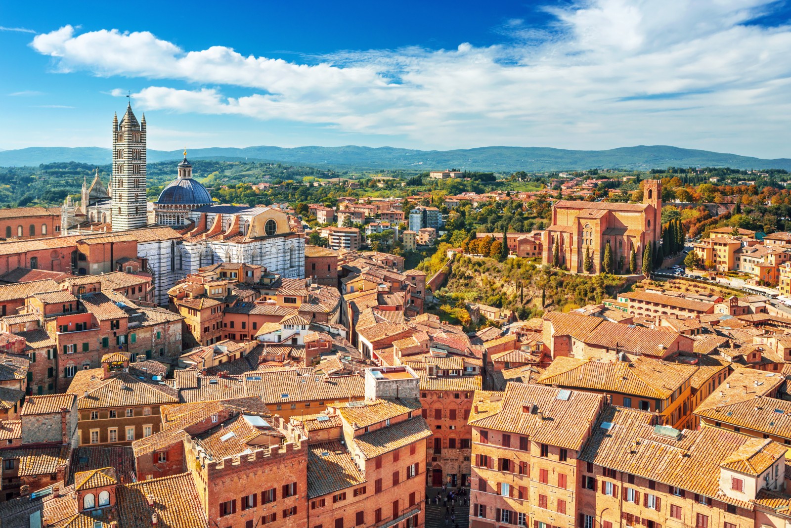 siena-hd siena-hd