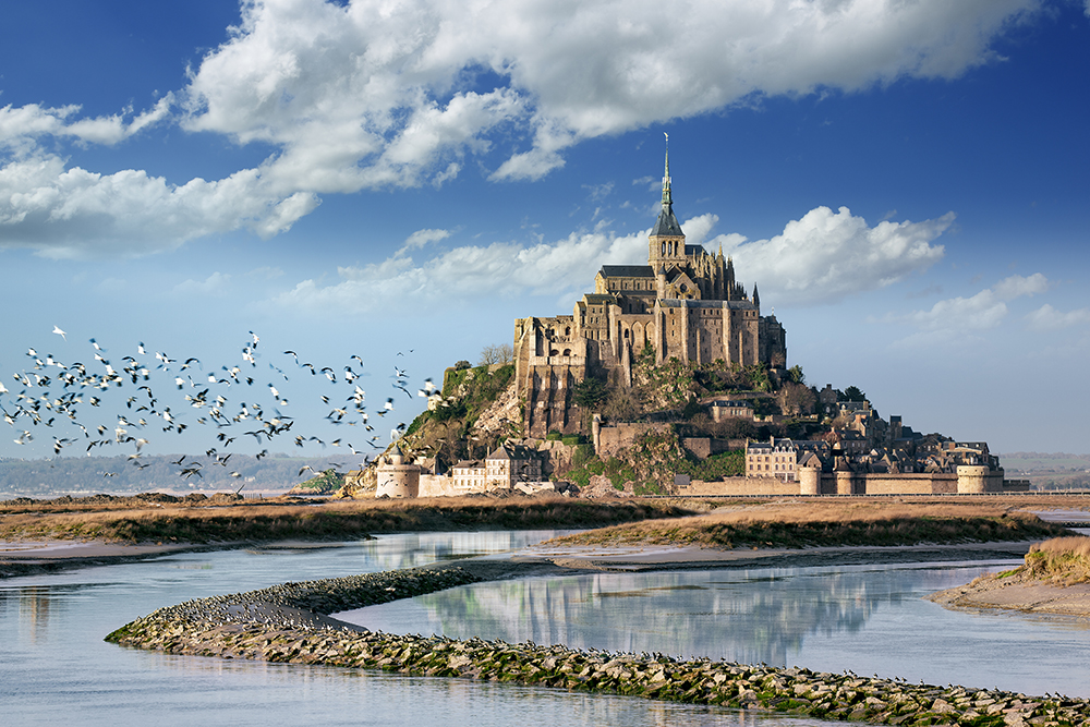 OIseaux-sur-la-baie-Mont-Saint-Michel-1000px